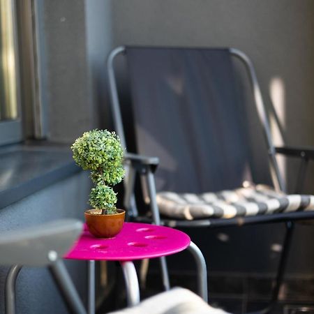 New Garden Condo 贝尔格莱德 外观 照片